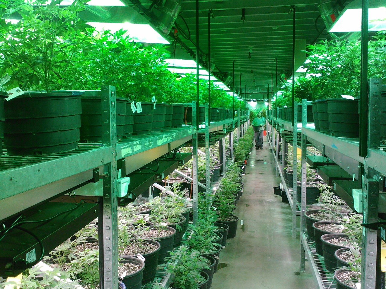 Cannabis POS Provider Green Bits Raises $2.2 Million