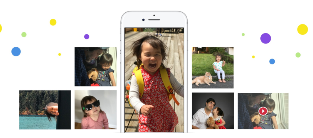 New Product Alert: Waddle Photos