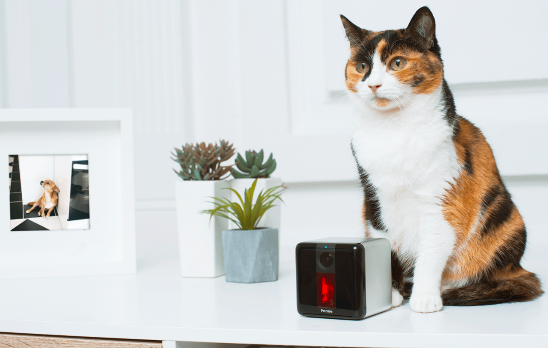 Electronics Startup Petcube Brings In  Million