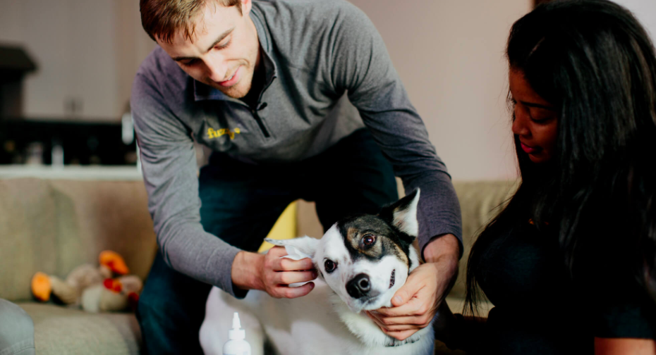 Vet app Fuzzy Pet Health Brings In $4.5 Million