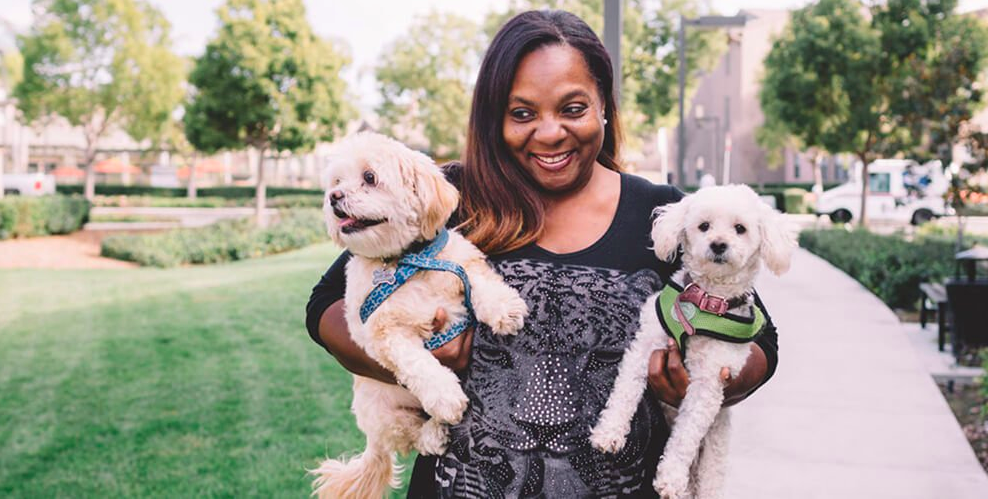 Pet Sitter Network is “Top Dog” with $155 Million In New Capital