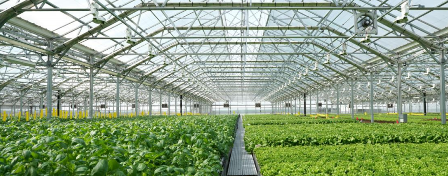 Urban Greenhouse Developer Raises $29 Million in Series C